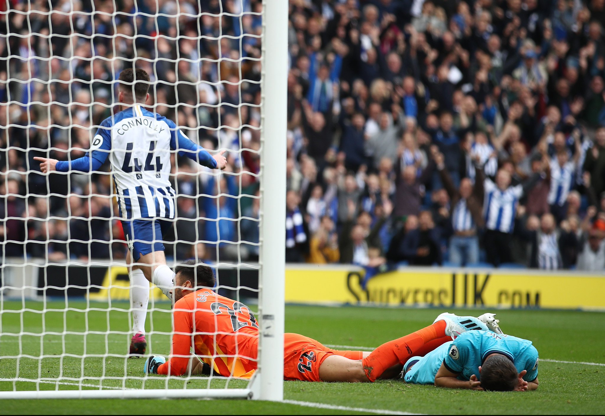 从而提高了 从而提高了